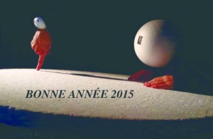 bonne année 2015